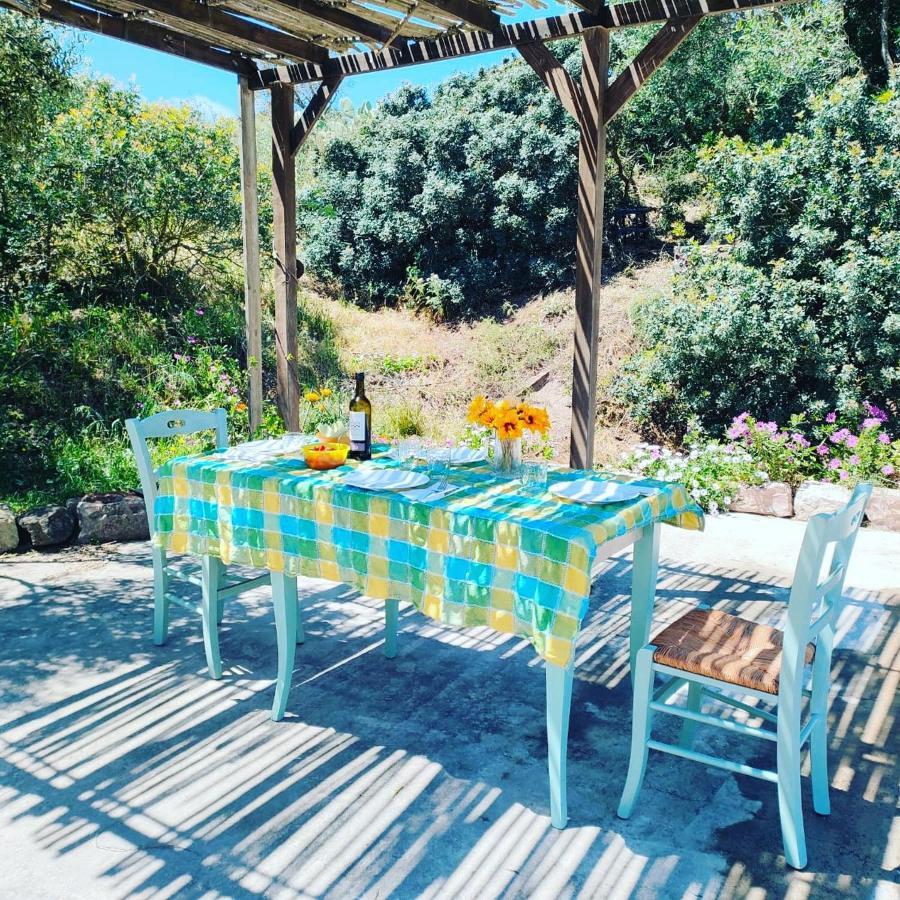 La_Casa_Di_ Willy Villa Canai Екстериор снимка