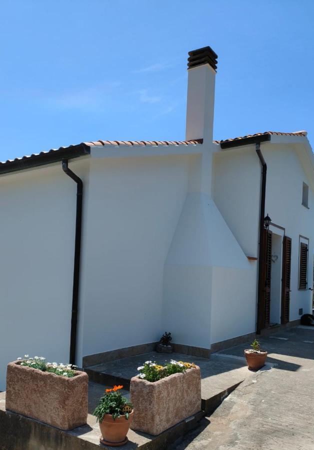 La_Casa_Di_ Willy Villa Canai Екстериор снимка